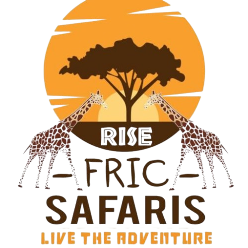 RISE AFRICA SAFARIS