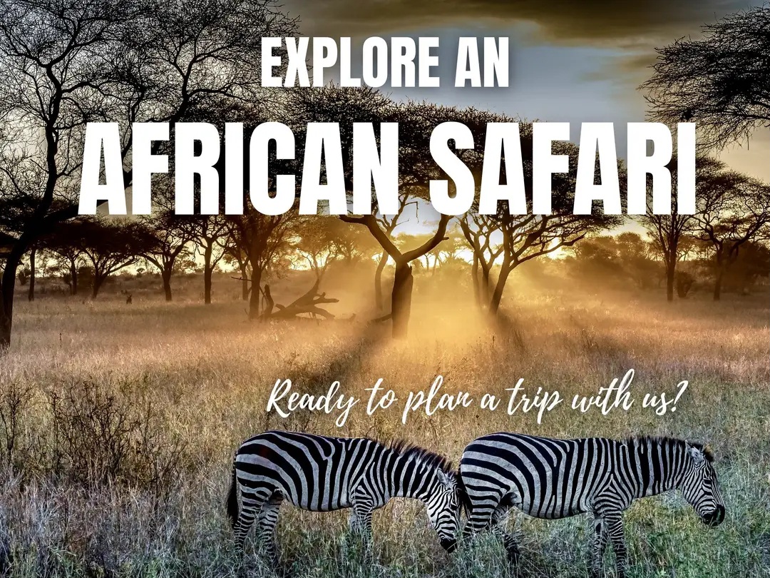 RISE AFRICA SAFARIS – rafricasafaris.com