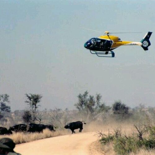 25-30min Microlight Flight (Zambia)