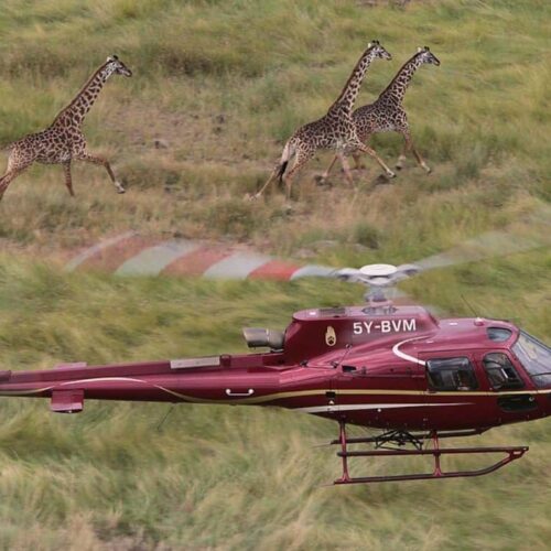 25min Helicopter Flight