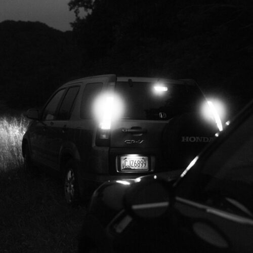 Night Drive & Bush Dinner